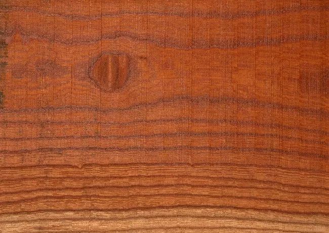 木質家具的木材種類